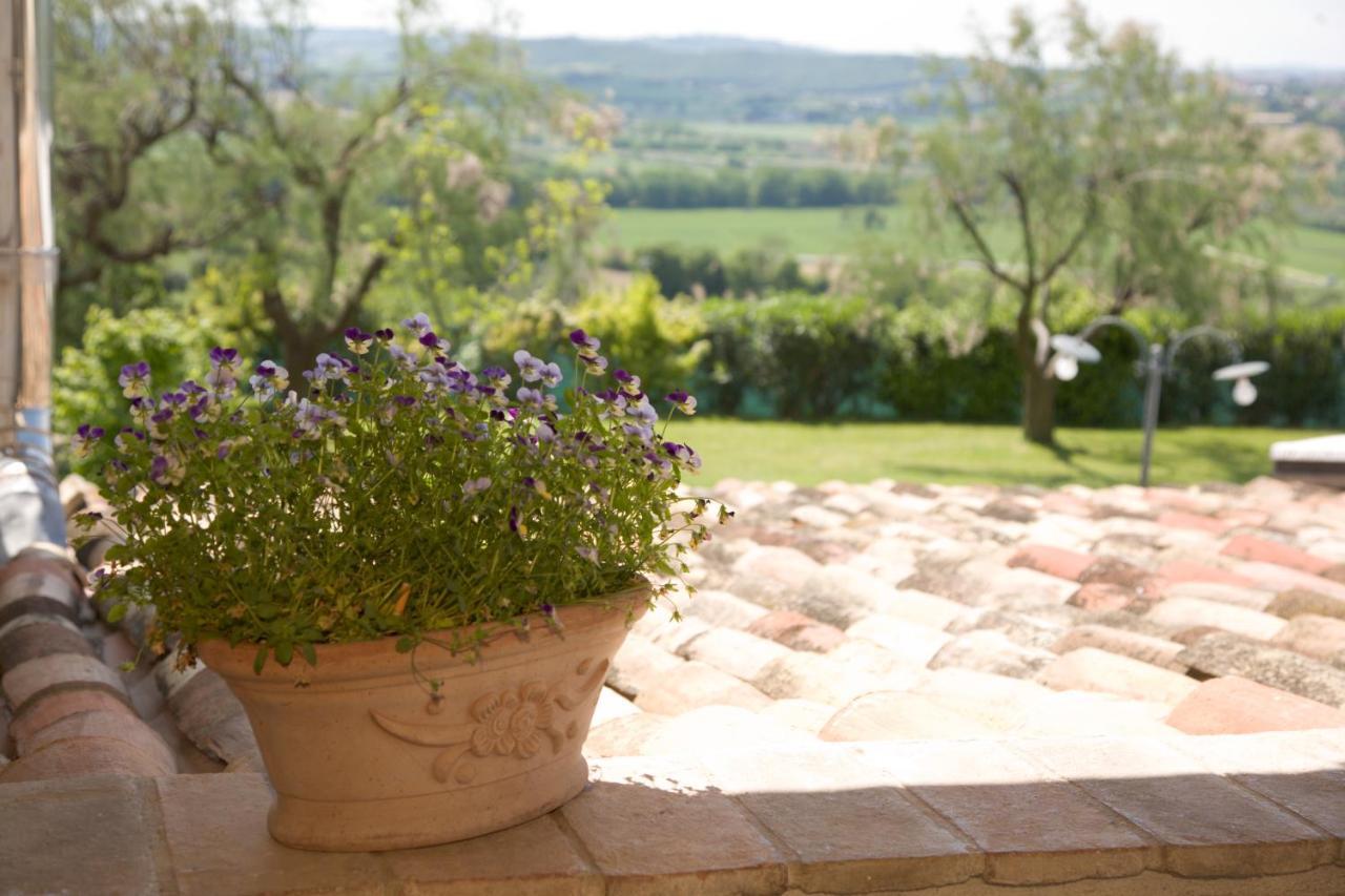 Il Girasole Country House Camerano Buitenkant foto
